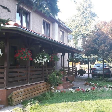 Antonowka "Pod Dudziarzem" Διαμέρισμα Radomierz Εξωτερικό φωτογραφία