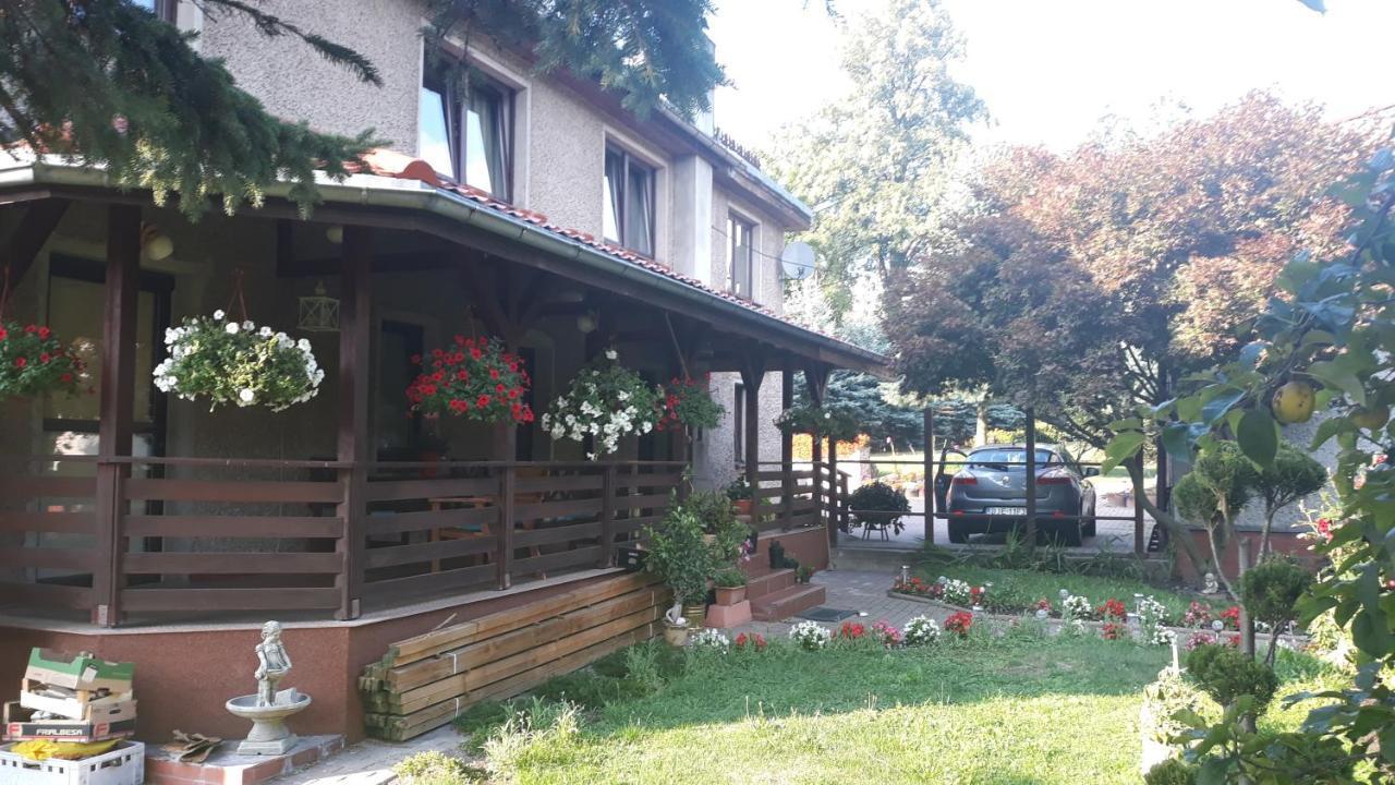 Antonowka "Pod Dudziarzem" Διαμέρισμα Radomierz Εξωτερικό φωτογραφία